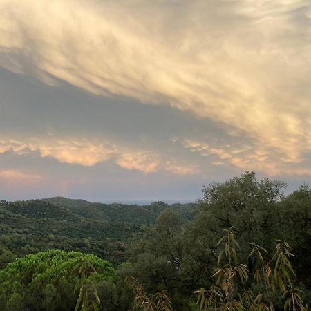 Casa Con Vista Y Jardin, A 20' De La Playa Villa Sant Cebrià de Vallalta Esterno foto