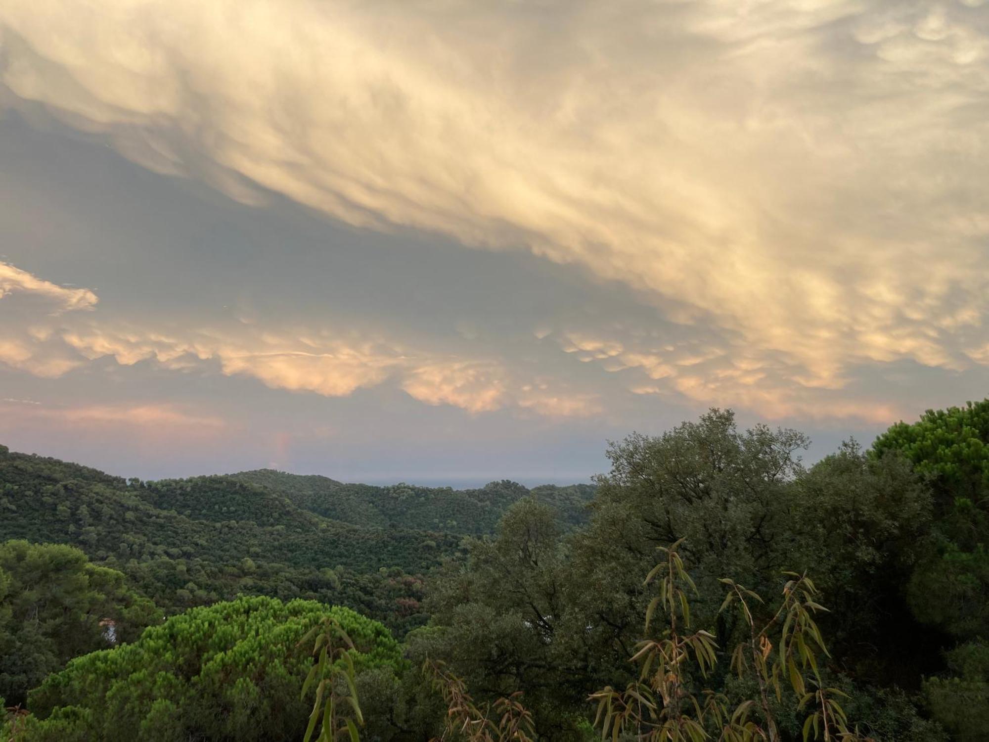 Casa Con Vista Y Jardin, A 20' De La Playa Villa Sant Cebrià de Vallalta Esterno foto