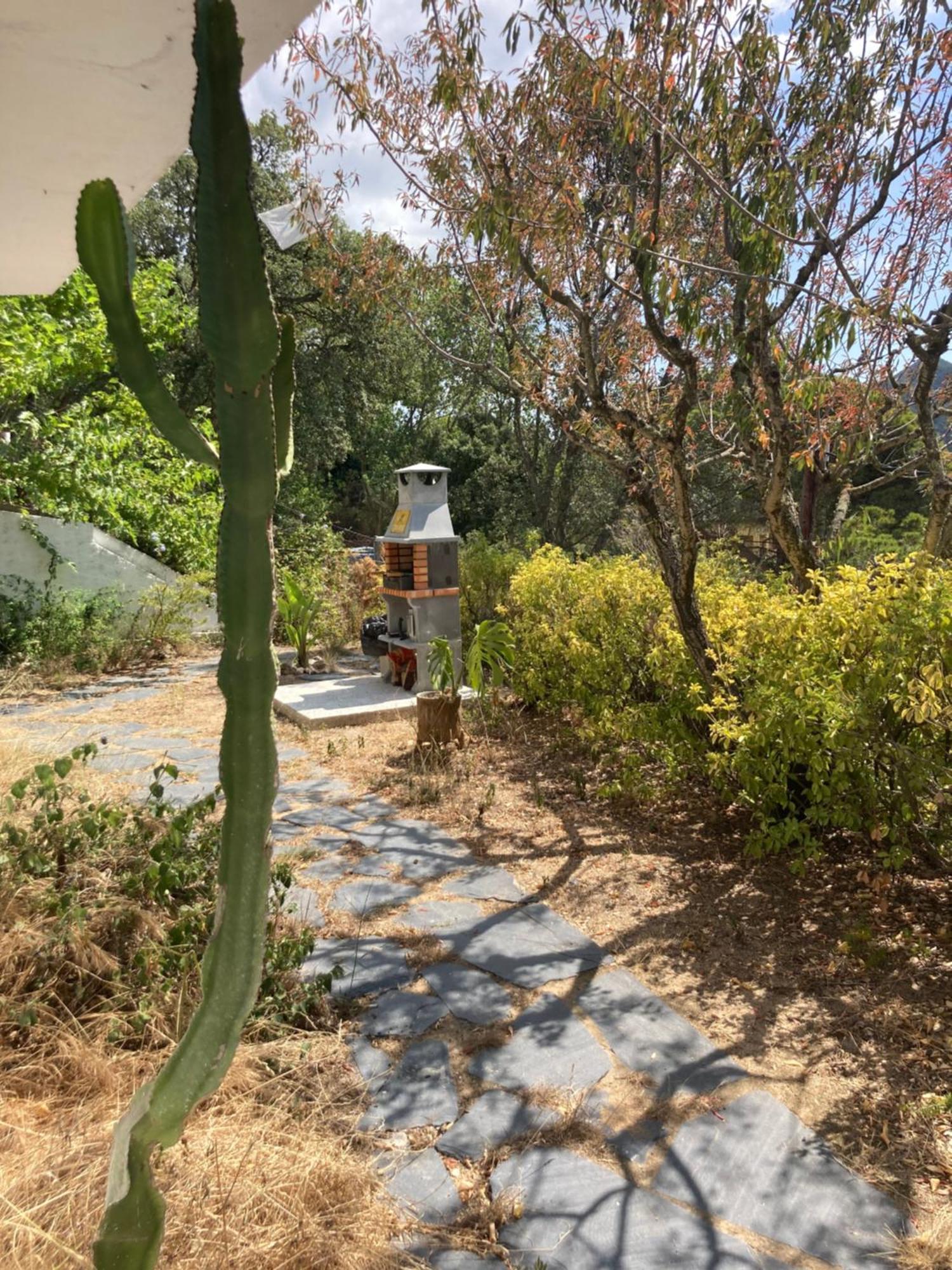 Casa Con Vista Y Jardin, A 20' De La Playa Villa Sant Cebrià de Vallalta Esterno foto